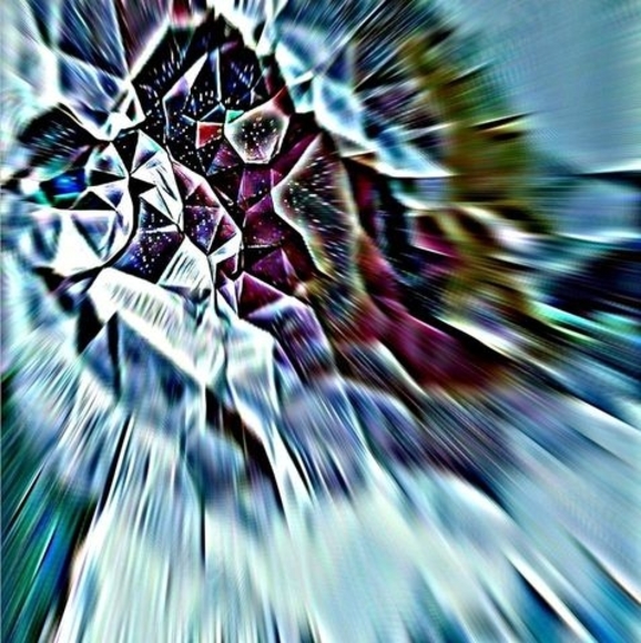 Meet your Posher, Whitney - Picture 1 of 1